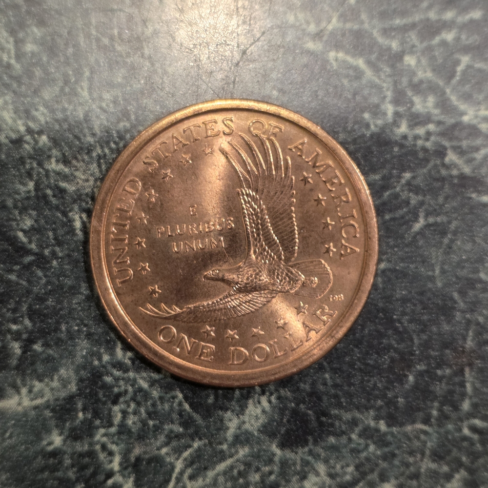 The Sacagawea Golden Dollar Coin 2000 P - Picture 2 of 2